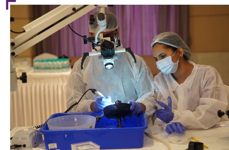 Endoscopic sinus surgery training