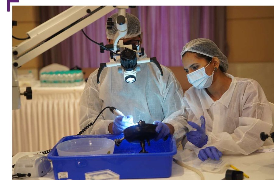 How 3D Simulation Is Revolutionizing ENT Surgical Training